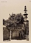 Orto Botanico nel 1895. (foto Università Padova) (Adriano Danieli)
